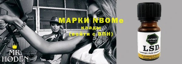 шишки Аркадак