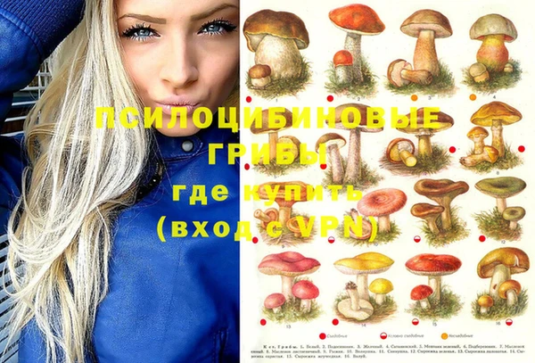 не бодяженный Арсеньев