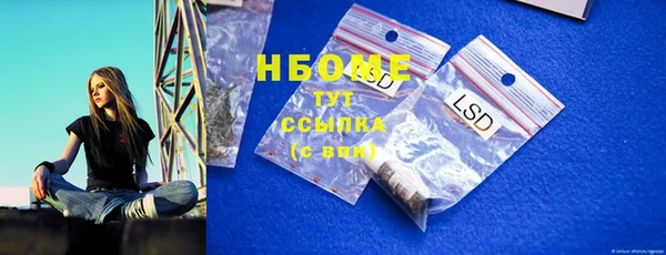 шишки Аркадак