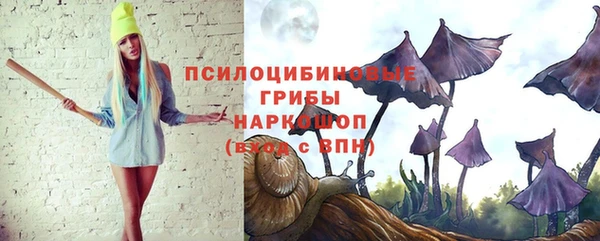 эйфоретик Армянск