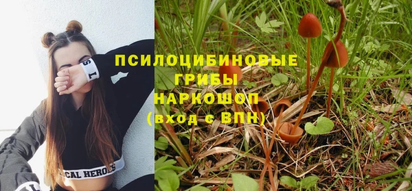 эйфоретик Армянск