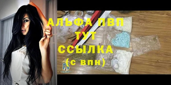 шишки Аркадак